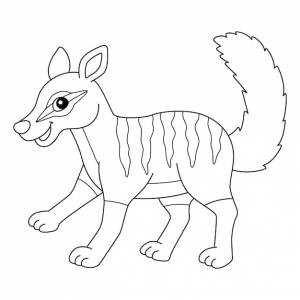 раскраски животных numbat, изолированная для детей