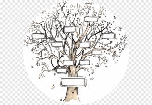 Генеалогическое древо Шаблон Родословная Предок, Семья, люди, фал, династия png