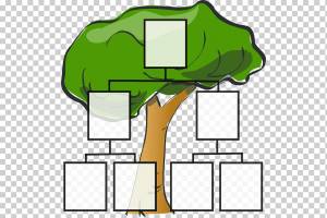 Генеалогическое древо, Анимированная семья, шаблон, презентация, трава png