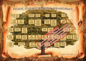 Семейное дерево включает бесплатные шаблоны и картинки, оформление древа семьи в фоторамку в фотошопе и т