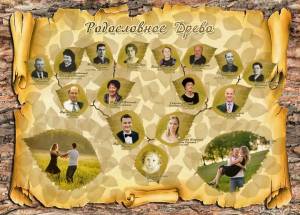 Семейное дерево включает бесплатные шаблоны и картинки, оформление древа семьи в фоторамку в фотошопе и т