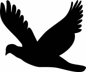 Трафареты птиц