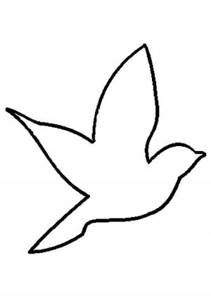 Трафареты птиц для раскрашивания
