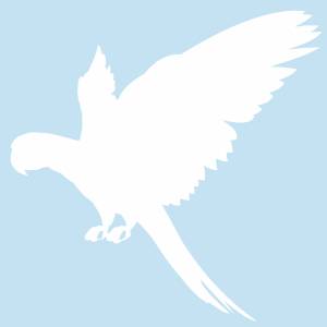 Трафарет Птицы Арт_005 в Томске