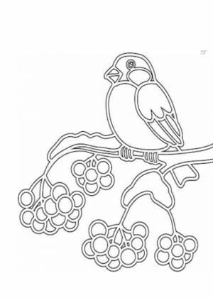 Вытынанки птицы 200 шаблонов для вырезания