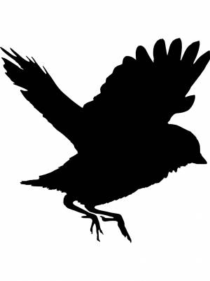 Трафареты Воробья