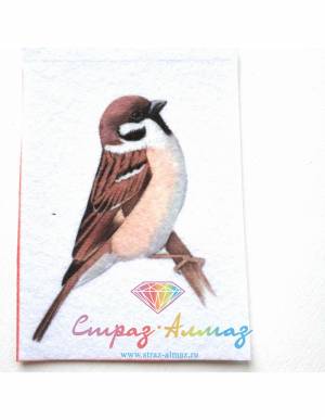Шаблон для броши Воробей
