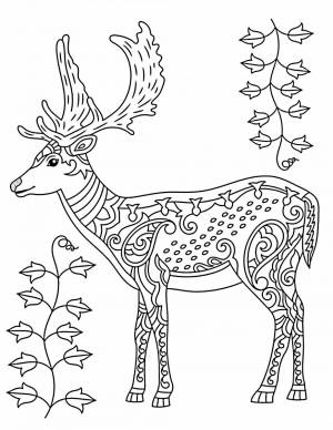 Раскраска шаблон олень