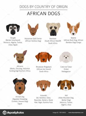 Собаки по странам происхождения