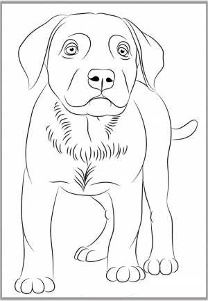 Шаблоны собак для вырезания из бумаги