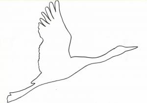 9 мая украсить окна