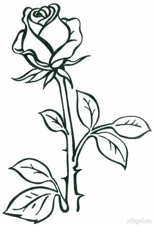 Детская раскраска