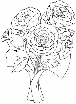 Раскраски розы