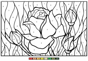 Раскраска Розы