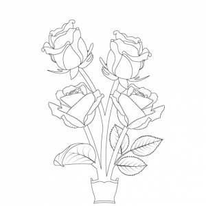 Раскраски розы для взрослых
