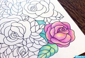 Раскраска-антистресс