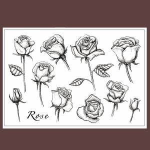 Рисунок розы бутон