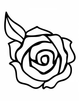 Раскраски Розы