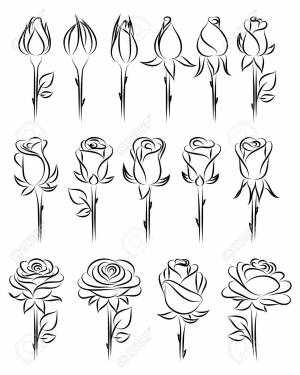 Рисунок розы бутон