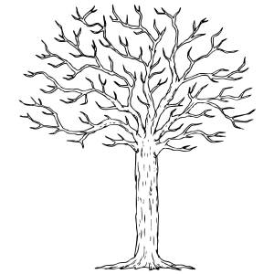 Раскраска «Дерево»