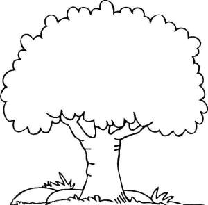 Раскраски Раскраска Листва дерева Семейное дерево