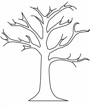 Раскраски Раскраска Дерево без листвы Контур дерева