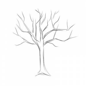 Как нарисовать голое дерево