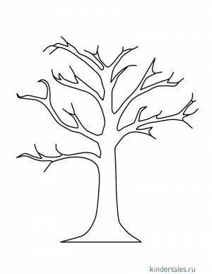 Дерево без листьев» раскраска для детей