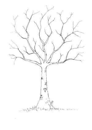 Раскраски Раскраска Дерево без листьев дерево, Download print coloring page