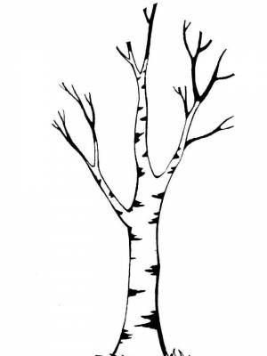 Картинка Дерево без листьев  для мальчиков