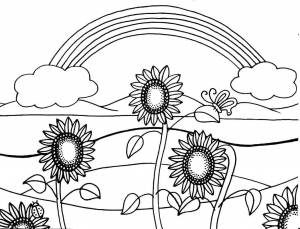 Раскраски пейзаж, Раскраска Подсолнухи с радугой летний пейзаж