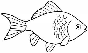 Шаблон рыбки для рисования