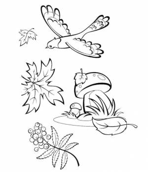 Раскраска «Осенние листья»