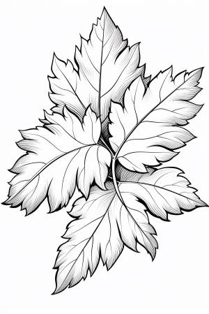 Раскраска осенние листья для детей 4, 5, 6, 7, 8, 9, 10 лет
