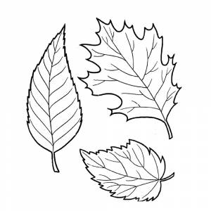 Шаблоны осенней листвы