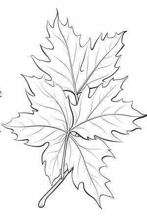 Раскраска осенние листья для детей 4, 5, 6, 7, 8, 9, 10 лет