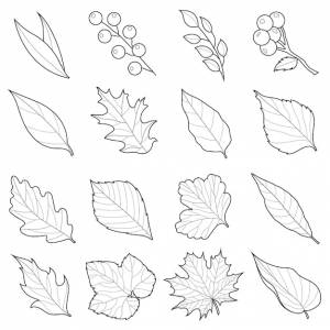 Осенние листья устанавливают черно-белые