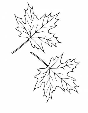 Раскраска Осенние Листья