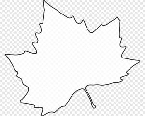 Контур кленового листа, осень черный и белый, угол, белый png
