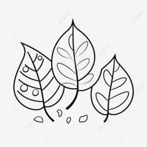 рисунок осенние листья штриховая графика для печати раскраски наброски эскиз вектор PNG , рисунок листьев, рисунок крыла, рисунок осенних листьев PNG картинки и пнг рисунок для й загрузки