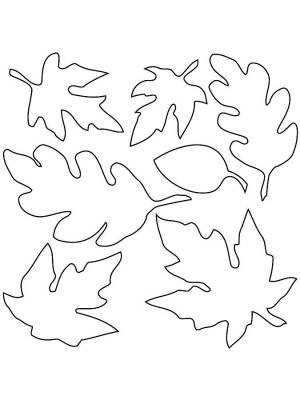 Распечатать Раскраска листья деревьев