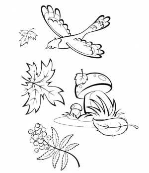 Раскраска «Осенние листья»