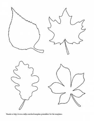 Раскраски Раскраска 4 листка листья Контуры листьев деревьев
