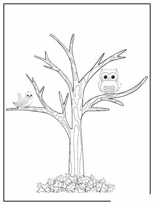 Раскраски Раскраска Птицы на дерево без листьев дерево листья