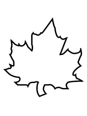 Раскраска Кленовый лист
