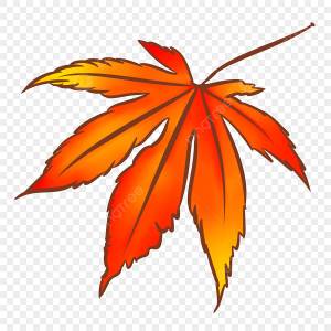 Рисованной Осень и зима Листья деревьев Дерево лист PNG , кленовый лист клипарт, опавшие листья, жёлтый лист PNG картинки и пнг PSD рисунок для й загрузки