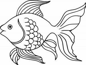 Раскраски Рыбки рисунок для детей