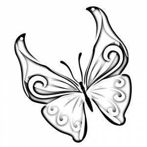 Раскраски красивые Бабочки