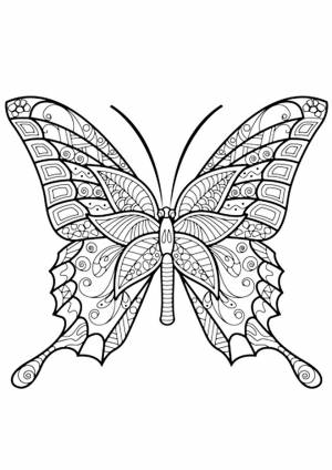 Раскраска Антистресс бабочка