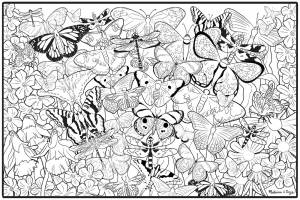 Раскраски Раскраска Много бабочек и цветы бабочки детские